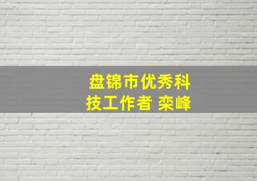 盘锦市优秀科技工作者 栾峰